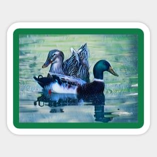 Mallard Duck Pair Sticker